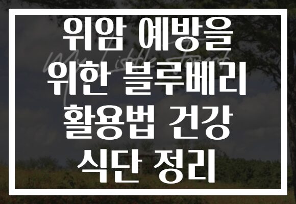 위암 예방을 위한 블루베리 활용법 건강 식단 정리