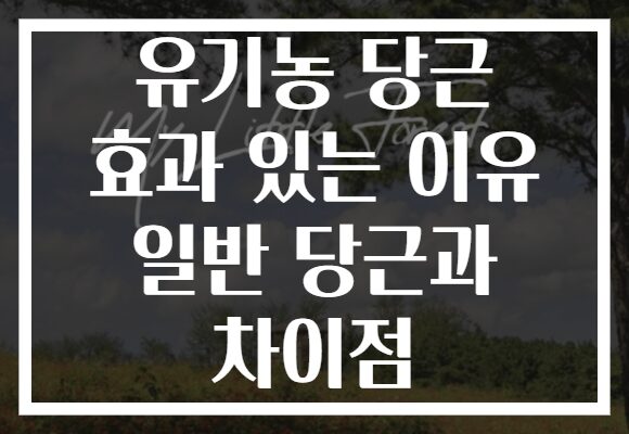 유기농 당근 효과 있는 이유 일반 당근과 차이점