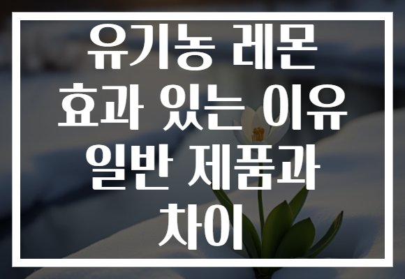 유기농 레몬 효과 있는 이유 일반 제품과 차이