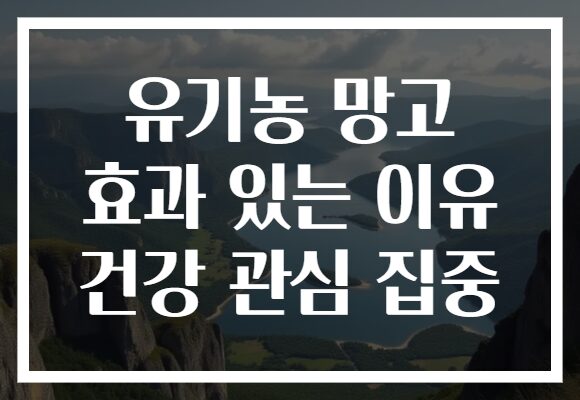 유기농 망고 효과 있는 이유 건강 관심 집중