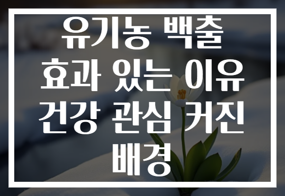 유기농 백출 효과 있는 이유 건강 관심 커진 배경