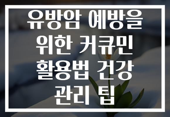 유방암 예방을 위한 커큐민 활용법 건강 관리 팁
