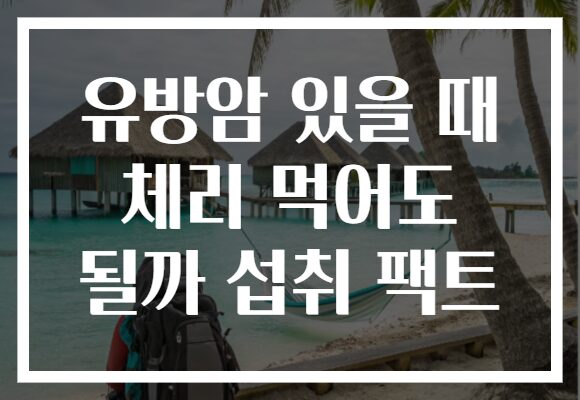 유방암 있을 때 체리 먹어도 될까 섭취 팩트