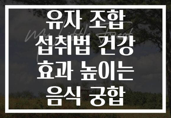 유자 조합 섭취법 건강 효과 높이는 음식 궁합