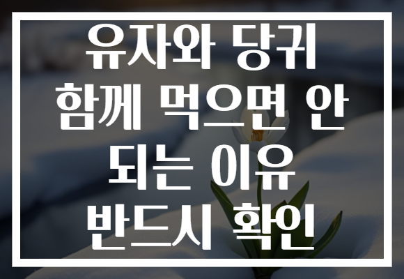유자와 당귀 함께 먹으면 안 되는 이유 반드시 확인
