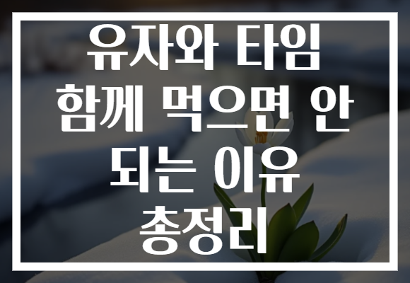 유자와 타임 함께 먹으면 안 되는 이유 총정리