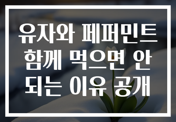 유자와 페퍼민트 함께 먹으면 안 되는 이유 공개