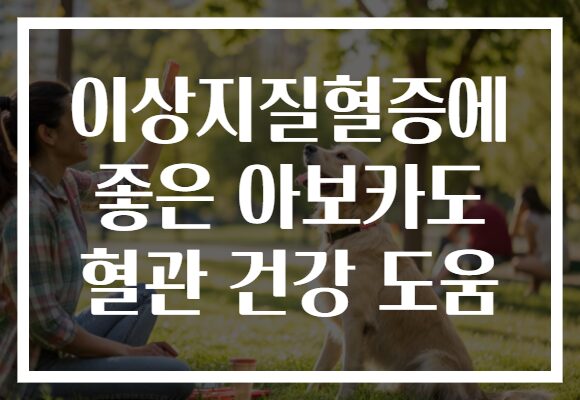 이상지질혈증에 좋은 아보카도 혈관 건강 도움