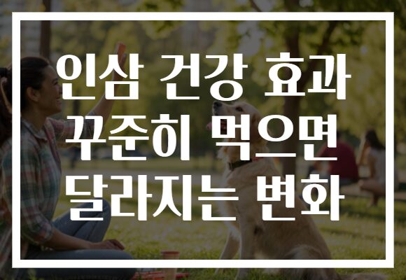 인삼 건강 효과 꾸준히 먹으면 달라지는 변화