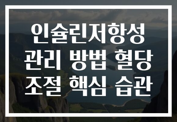 인슐린저항성 관리 방법 혈당 조절 핵심 습관
