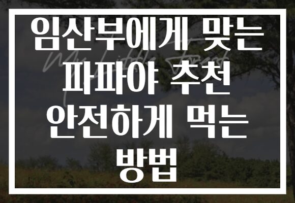 임산부에게 맞는 파파야 추천 안전하게 먹는 방법