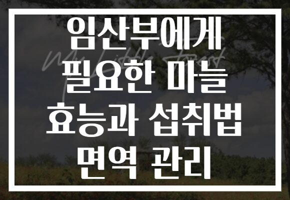 임산부에게 필요한 마늘 효능과 섭취법 면역 관리