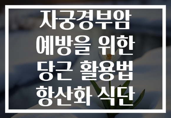 자궁경부암 예방을 위한 당근 활용법 항산화 식단