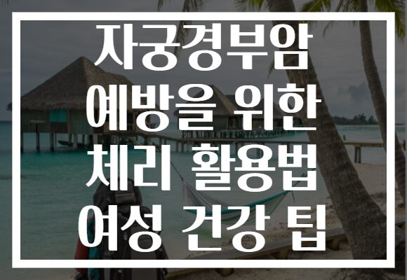 자궁경부암 예방을 위한 체리 활용법 여성 건강 팁