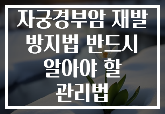 자궁경부암 재발 방지법 반드시 알아야 할 관리법