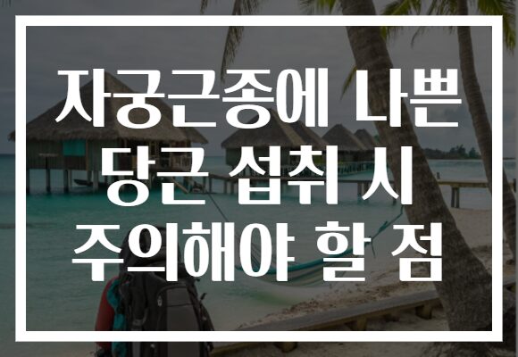자궁근종에 나쁜 당근 섭취 시 주의해야 할 점