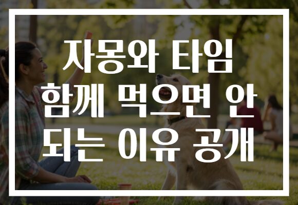 자몽와 타임 함께 먹으면 안 되는 이유 공개