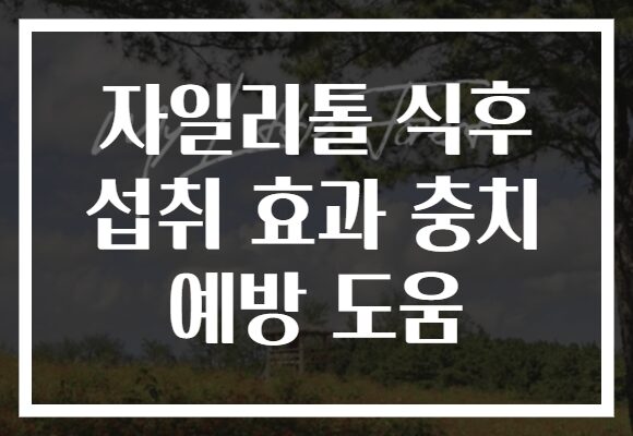 자일리톨 식후 섭취 효과 충치 예방 도움