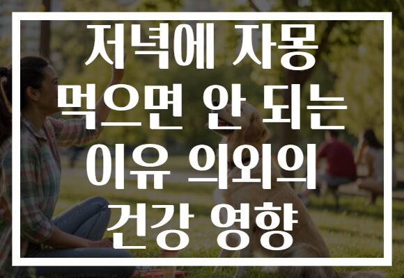 저녁에 자몽 먹으면 안 되는 이유 의외의 건강 영향