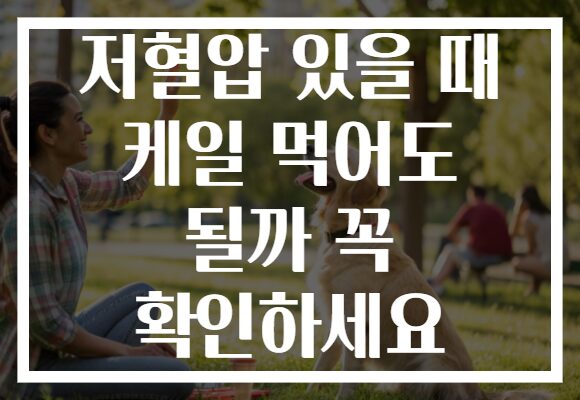 저혈압 있을 때 케일 먹어도 될까 꼭 확인하세요
