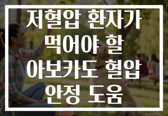 저혈압 환자가 먹어야 할 아보카도 혈압 안정 도움