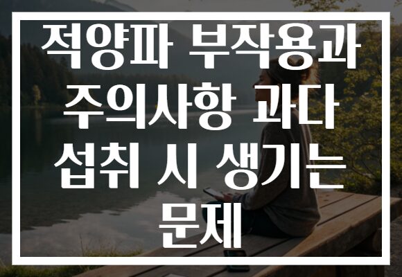 적양파 부작용과 주의사항 과다 섭취 시 생기는 문제