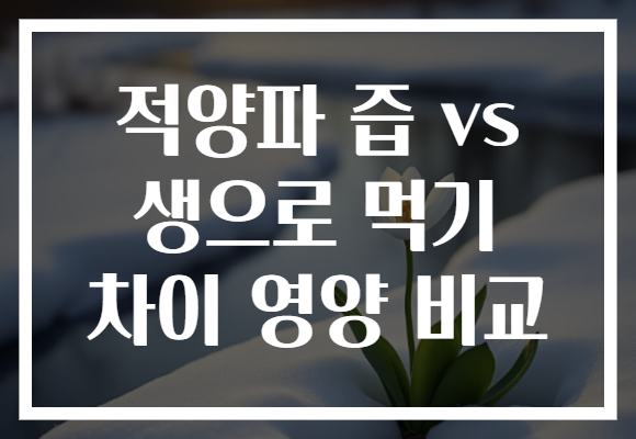 적양파 즙 vs 생으로 먹기 차이 영양 비교
