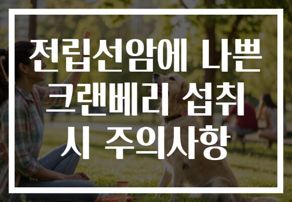 전립선암에 나쁜 크랜베리 섭취 시 주의사항