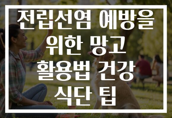 전립선염 예방을 위한 망고 활용법 건강 식단 팁