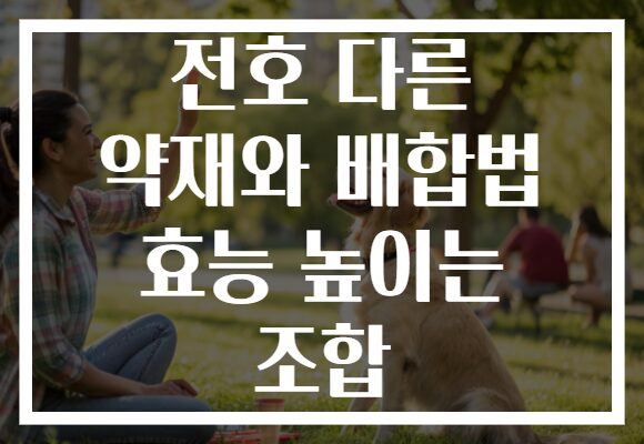 전호 다른 약재와 배합법 효능 높이는 조합