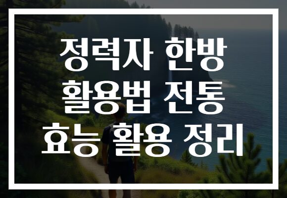 정력자 한방 활용법 전통 효능 활용 정리