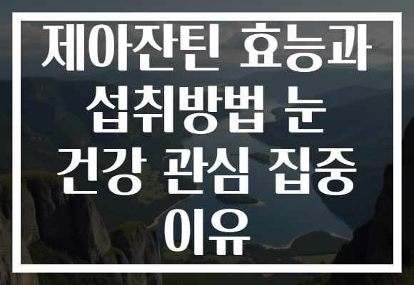 제아잔틴 효능과 섭취방법 눈 건강 관심 집중 이유