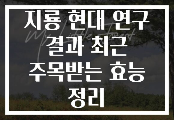 지룡 현대 연구 결과 최근 주목받는 효능 정리