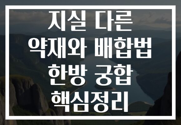 지실 다른 약재와 배합법 한방 궁합 핵심정리