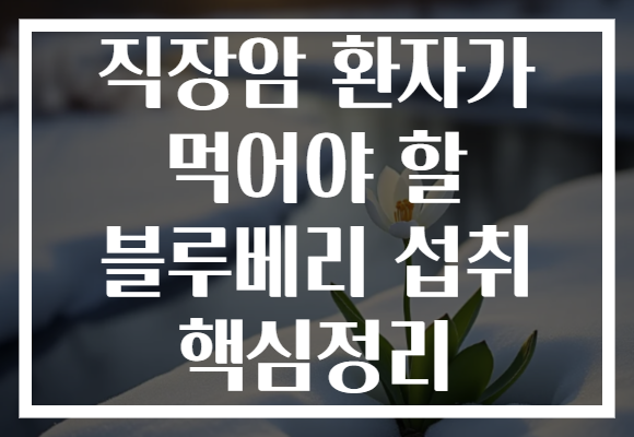 직장암 환자가 먹어야 할 블루베리 섭취 핵심정리