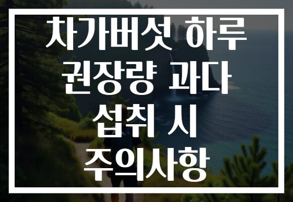 차가버섯 하루 권장량 과다 섭취 시 주의사항