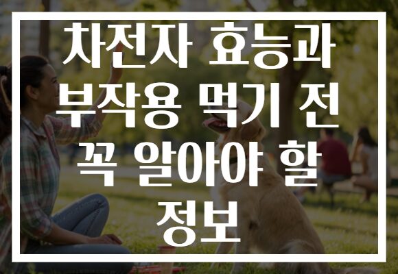 차전자 효능과 부작용 먹기 전 꼭 알아야 할 정보
