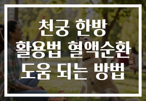 천궁 한방 활용법 혈액순환 도움 되는 방법