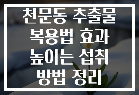 천문동 추출물 복용법 효과 높이는 섭취 방법 정리