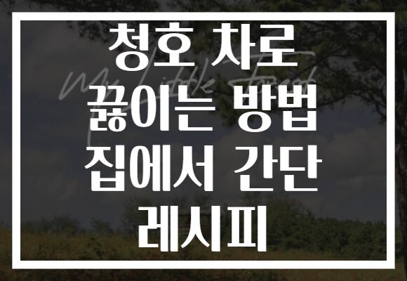 청호 차로 끓이는 방법 집에서 간단 레시피