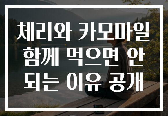 체리와 카모마일 함께 먹으면 안 되는 이유 공개