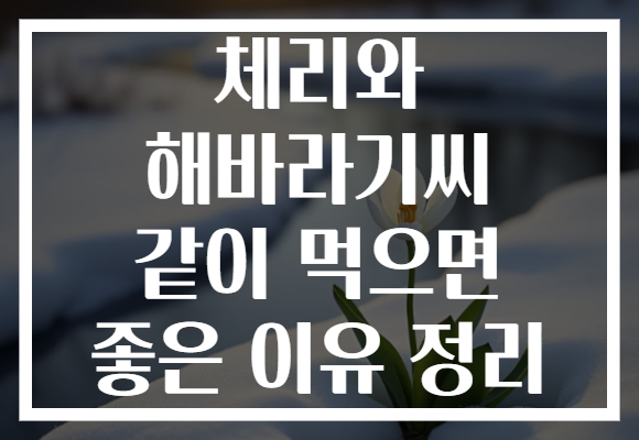 체리와 해바라기씨 같이 먹으면 좋은 이유 정리