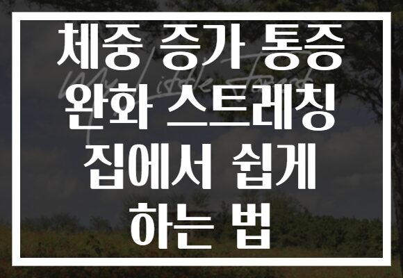체중 증가 통증 완화 스트레칭 집에서 쉽게 하는 법