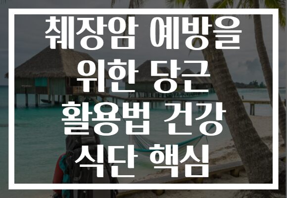 췌장암 예방을 위한 당근 활용법 건강 식단 핵심