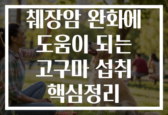 췌장암 완화에 도움이 되는 고구마 섭취 핵심정리