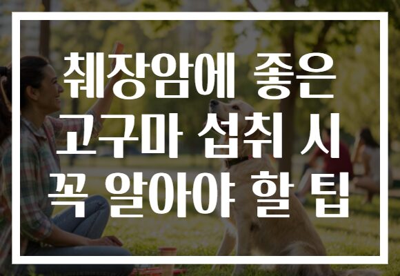 췌장암에 좋은 고구마 섭취 시 꼭 알아야 할 팁