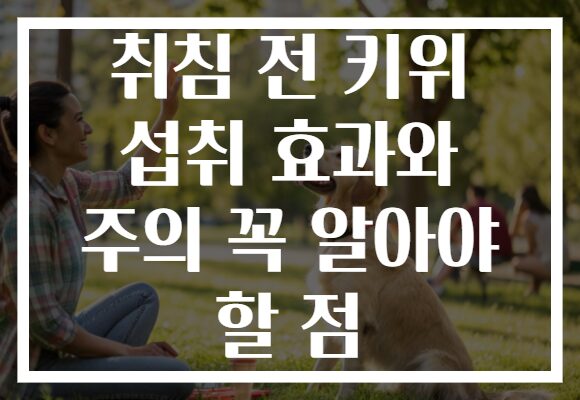 취침 전 키위 섭취 효과와 주의 꼭 알아야 할 점