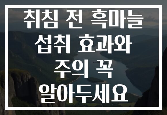 취침 전 흑마늘 섭취 효과와 주의 꼭 알아두세요