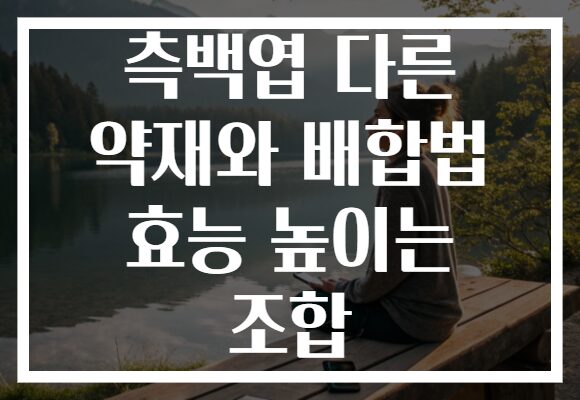 측백엽 다른 약재와 배합법 효능 높이는 조합