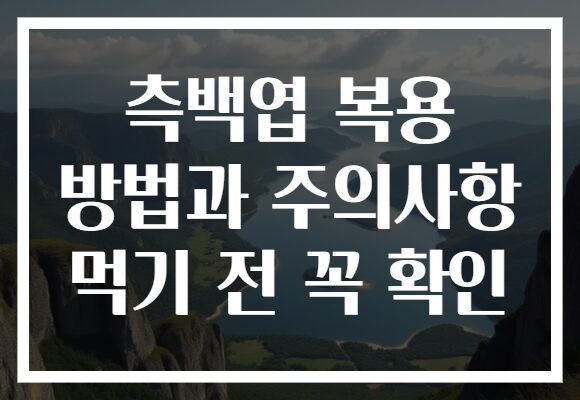측백엽 복용 방법과 주의사항 먹기 전 꼭 확인